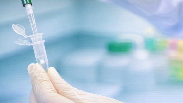 Image_220260202-QuickExtract